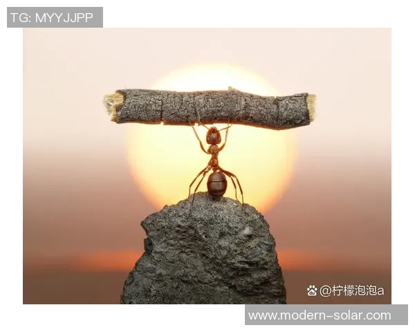 姜宇星的奋斗历程与成长故事揭秘青春背后的坚持与梦想 姜宇星的奋斗历程与成长故事揭秘青春背后的坚持与梦想