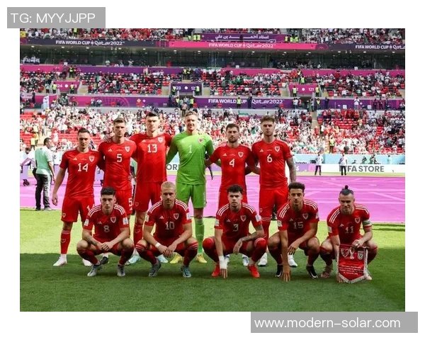 法国与威尔士足球历史交锋回顾与战绩分析 法国与威尔士足球历史交锋回顾与战绩分析