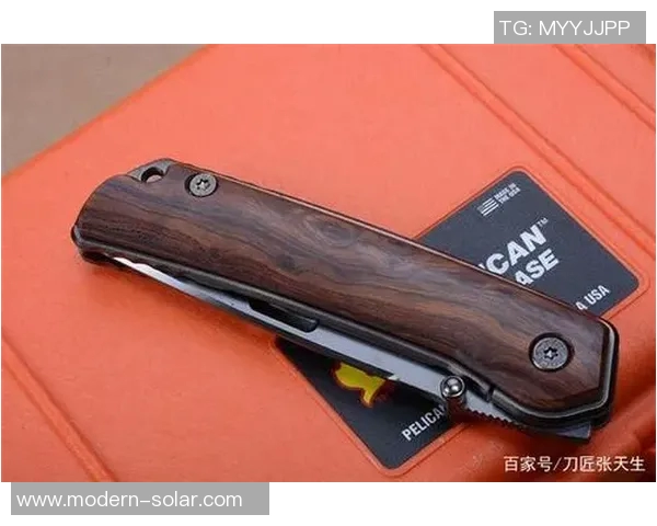 和平精英战术解析：深入剖析LNG团队的包夹战术与策略