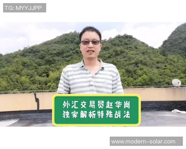 独家解析上海排球队比赛经验的优势与不足对比分析